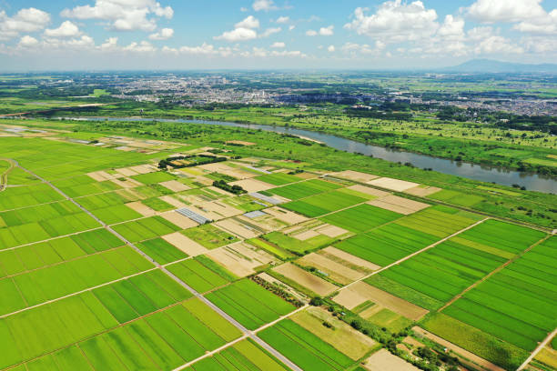 istock Paddy field scenery in Abiko City, Chiba Prefecture 1368902200