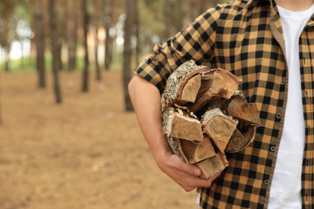 istock Man holding cut firewood in forest, closeup 1368906068