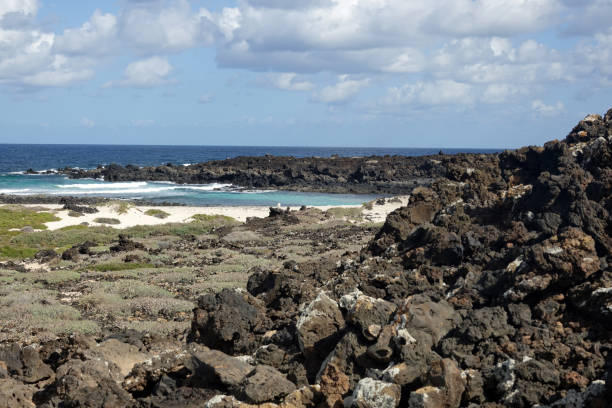 istock Volcanic landscape of the north part 1368908696