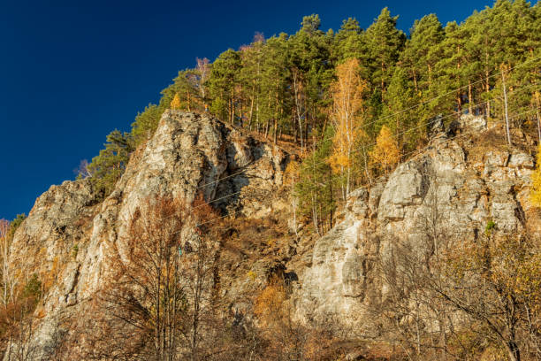 istock Bottom view of a high rock with trees growing on it. 1368909427