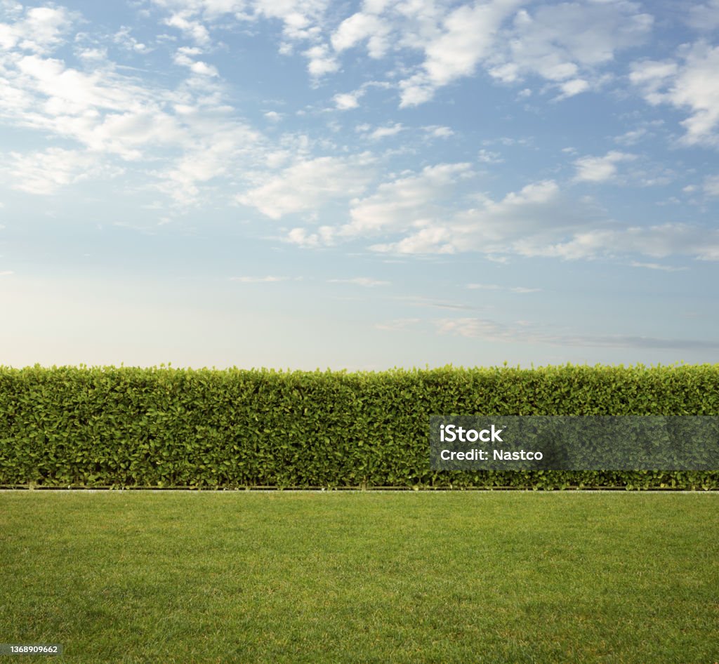 Takapiha, mukava leikattu pensasaita ruoholla, jossa on kopiotilaa - Rojaltivapaa avainsanalla Piha ja tyyppiä Kuvapankin valokuva Takapiha, mukava leikattu pensasaita ruoholla, jossa on kopiotilaa - Rojaltivapaa avainsanalla Piha ja tyyppiä Kuvapankin valokuva