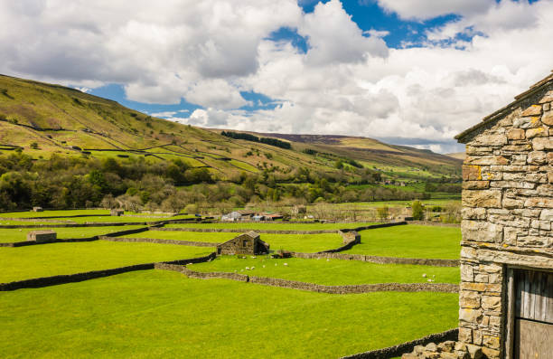 printemps à gunnerside, un village rural dans les yorkshire dales, au royaume-uni, avec des granges en pierre ou des maisons de vaches, des champs verdoyants, des murs en pierre sèche et des moutons en pâturage. - wensleydale photos et images de collection