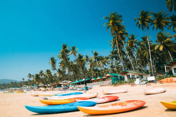 Canacona, Goa, India. Canoe Kayak For Rent Parked On Famous Palolem Beach On Background Tall Palm Tree In Summer Sunny Day.