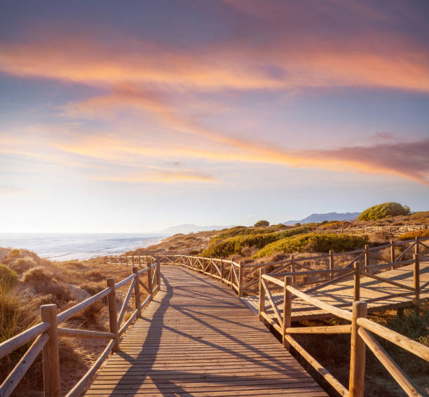 marbella artola dunas y playa en el parque natural de cabopino a los soles - marbella fotografías e imágenes de stock