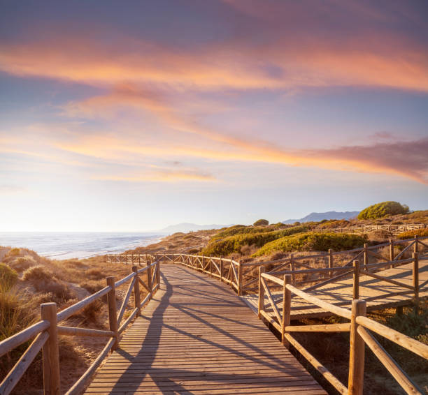 햇살이 쬐는 카보미노 자연 공원의 마르베야 아르톨라 모래 언덕과 해변 - marbella 뉴스 사진 이미지