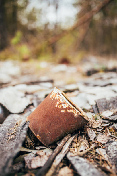 istock Rusty metal can from paint on pieces of broken slate in the forest 1368912218