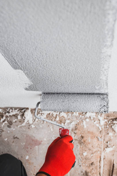 istock Fur roller with paint in the hand of the painter during work 1368917240