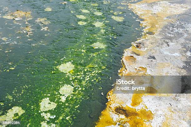 背景バクテリアや海藻のビスケットの洗面台 - バクテリアマットのストックフォトや画像を多数ご用意 - バクテリアマット, 温泉, アメリカ合衆国