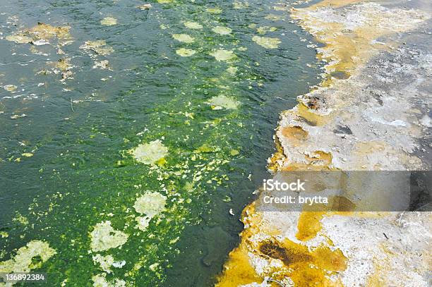 Fundo Com Bactérias E Algas Na Bacia Biscuit - Fotografias de stock e mais imagens de Fonte termal - Fonte termal, Película Bacteriana, Abstrato