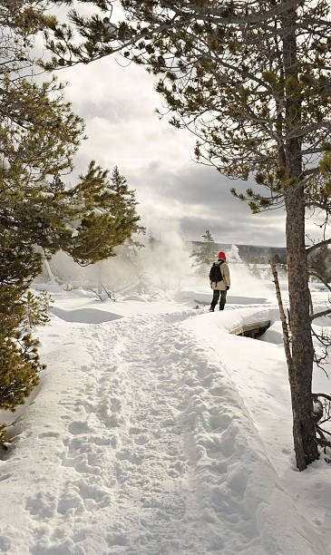 istock Tourist hiking on the boardwalk 136892410