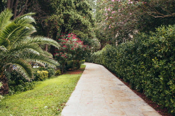 istock Stone path through a dense garden with shrubs, trees and flowers 1368924152