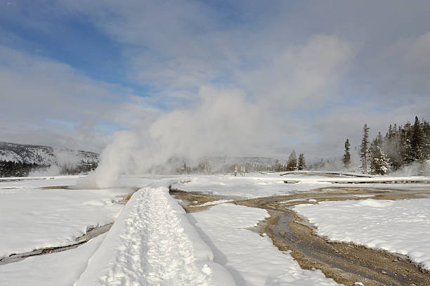 istock Thermal activity in the Old Faithful region 136892421