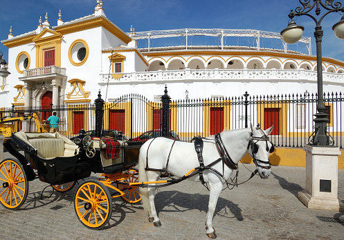 Exterior and principal entrance of the famous  Plaza de Toros of Sevilla,Spain.A horsedrawn carriage with white horse,in front of the building.