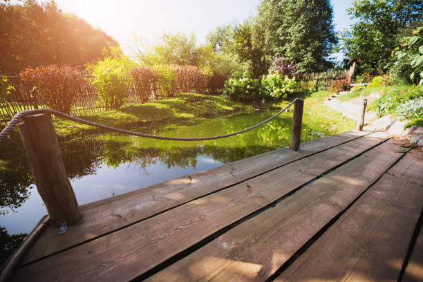 Serene pond complete with a beautiful waterfall and fish swimming gracefully.
