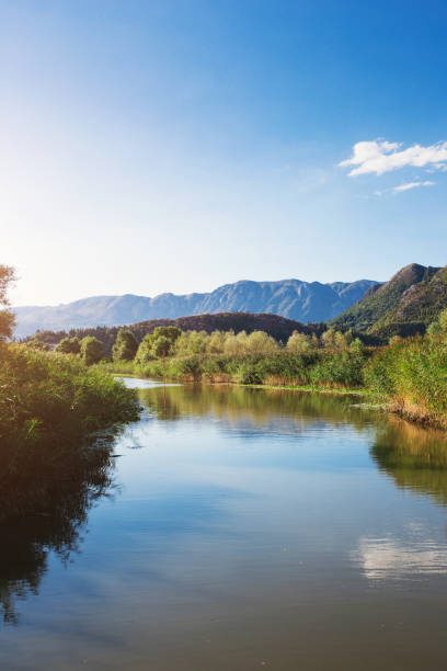 istock Lake and mountains in an ecological reserve 1368928657