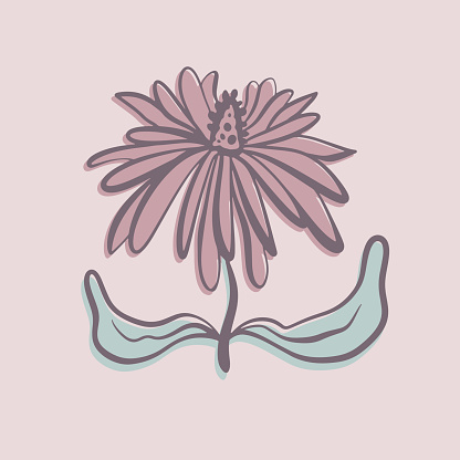 Vector illustration of a flower in cartoon style. Beautiful botanical floral design. A hand-drawn plant. Cute flower on pink background. A design element for creativity.