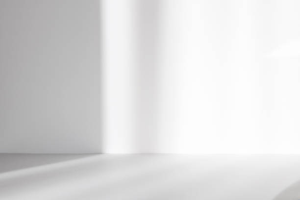 istock Abstract white studio background for product presentation. Empty room with shadows of window. Display product with blurred backdrop. 1368932042