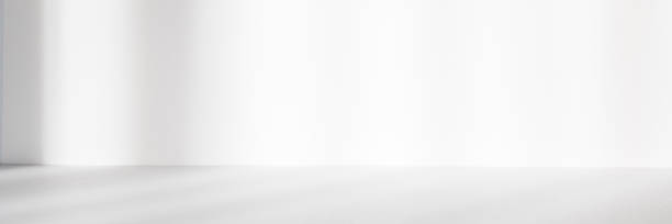 istock Abstract white studio background for product presentation. Empty room with shadows of window. Display product with blurred backdrop. Banner 1368932049