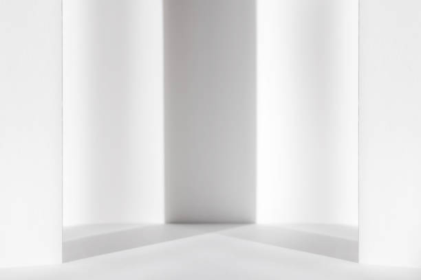 istock Abstract white 3d studio background for cosmetic product presentation. Empty grey room with shadows of window. Display product with blurred backdrop. 1368932060