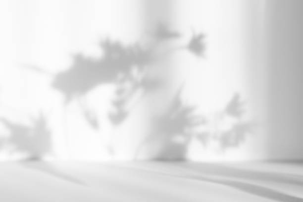 istock Abstract white studio background for product presentation. Empty room with shadows of window and flowers and palm leaves . 3d room with copy space. Summer concert. Blurred backdrop. 1368932068