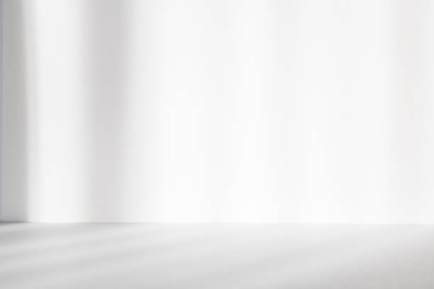 istock Abstract white studio background for product presentation. Empty room with shadows of window. Display product with blurred backdrop. 1368932079