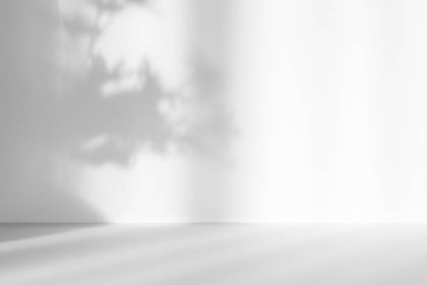 istock Abstract white studio background for product presentation. Empty room with shadows of window and flowers and palm leaves . 3d room with copy space. Summer concert. Blurred backdrop. 1368932080