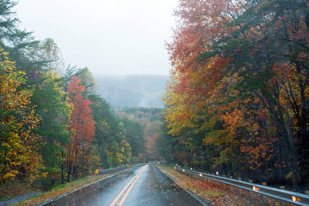 istock Autumn rain-soaked highway 1368932135