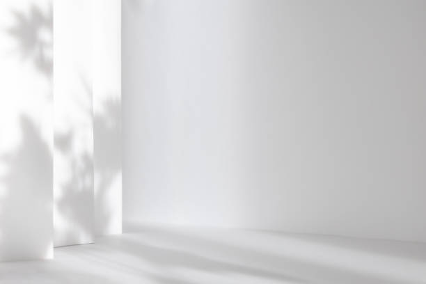 istock Abstract white 3d studio background for cosmetic product presentation. Empty grey room with shadows of window. Display product with blurred backdrop. 1368932200