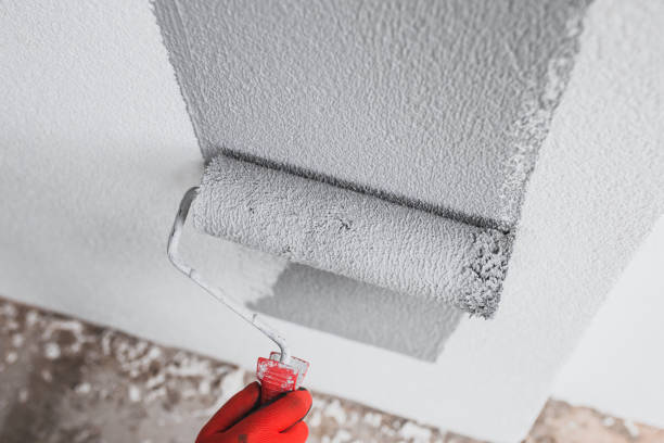The painter paints the outer wall of the building with a gray paint roller The painter paints the outer wall of the building with a gray paint roller - facade work - painting the plaster waterproof stock pictures, royalty-free photos & images