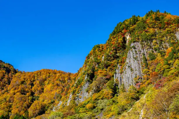 Akiyama-go is an unexplored region of Nagano prefecture in Japan and is a scenic place throughout the four seasons.