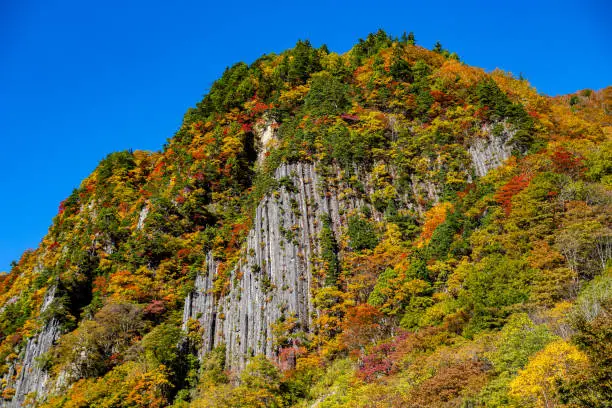 Akiyama-go is an unexplored region of Nagano prefecture in Japan and is a scenic place throughout the four seasons.