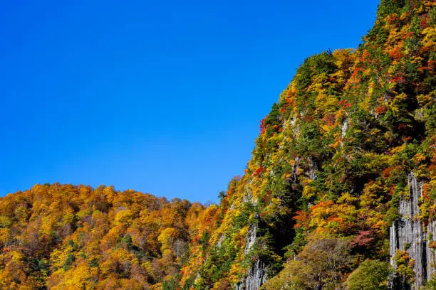 Akiyama-go is an unexplored region of Nagano prefecture in Japan and is a scenic place throughout the four seasons.