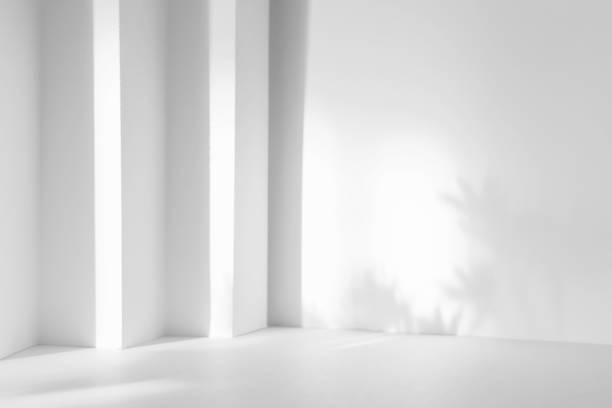 istock Abstract white 3d studio background for cosmetic product presentation. Empty grey room with shadows of window. Display product with blurred backdrop. 1368935091