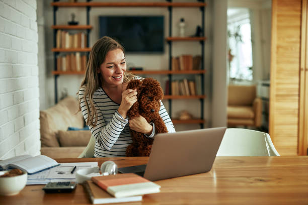 Pregnant woman and her dog using laptop and paying bills Smiling young pregnant woman sitting at the table at home and hugging her cute dog while taking care about home budget poodle color image animal sitting stock pictures, royalty-free photos & images