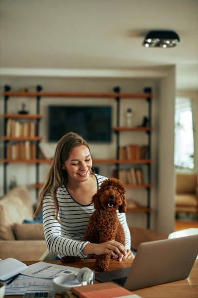 istock Pregnant woman and her dog using laptop, doing home finances 1368936724