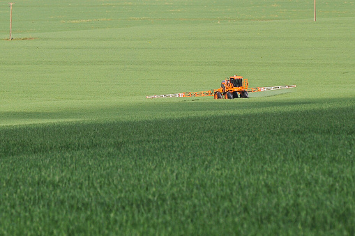 Tractor working on spraying pesticides in wheat plantation. Agricultural fields in the state of Paraná.