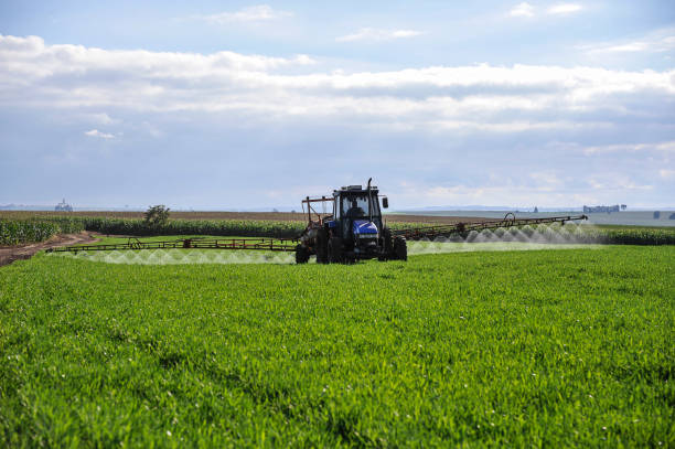 istock Tractor working on pesticide spraying on wheat plantation 1368937366