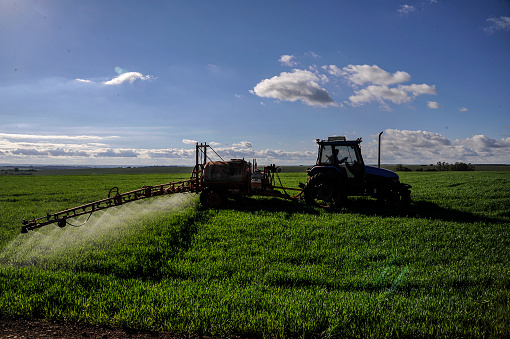 Tractor working on spraying pesticides in wheat plantation. Agricultural fields in the state of Paraná.