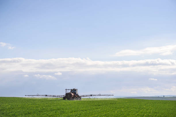 istock Tractor working on pesticide spraying on wheat plantation 1368937436