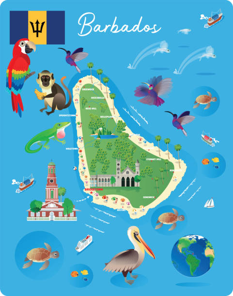 cartoon karte von barbados - barbados flag illustrations stock-grafiken, -clipart, -cartoons und -symbole