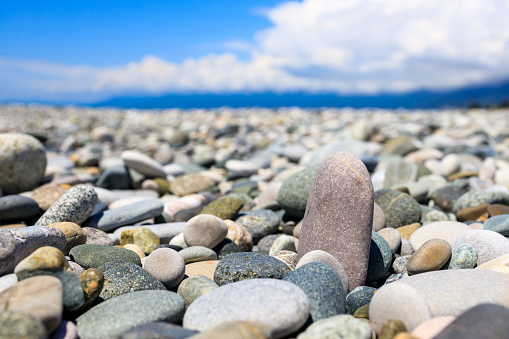 stone on a pebble beach, stone among stones. focus on one stone