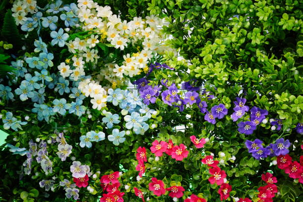 Flower decorate