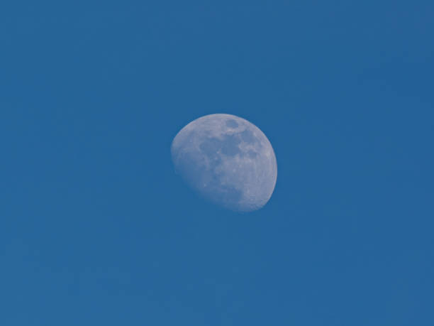 istock Moon on blue sky of daytime background 1368948561