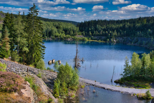 istock lake in the forest 1368951369