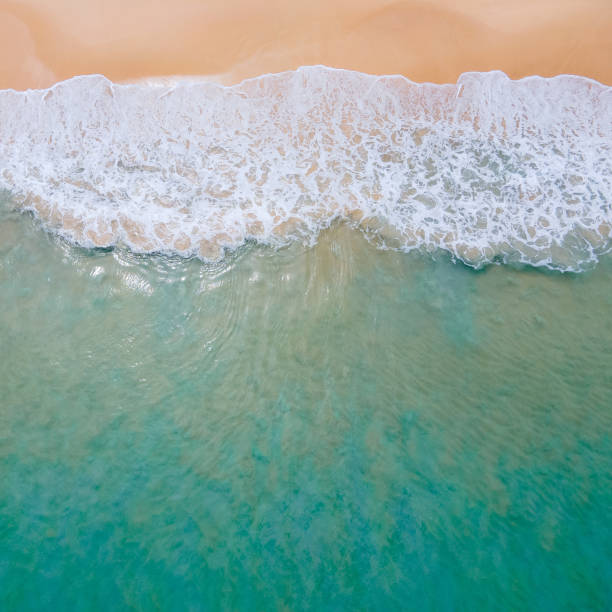 istock Aerial view of ocean wave reaching the coastline 1368955355
