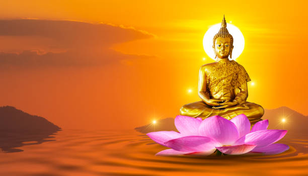статуя будды воды лотоса будды, стоящего на цветке лотоса на оранжевом фоне - religious leaders стоковые фото и изображения