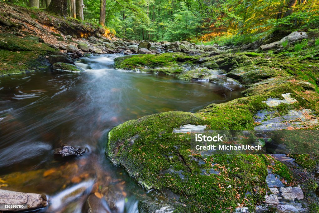 Green Mountain Stream Long Exposure Low angle view of a small mountain creek in the High Fens, Ardennes, Belgium running between green moss covered rocks. Covering Stock Photo