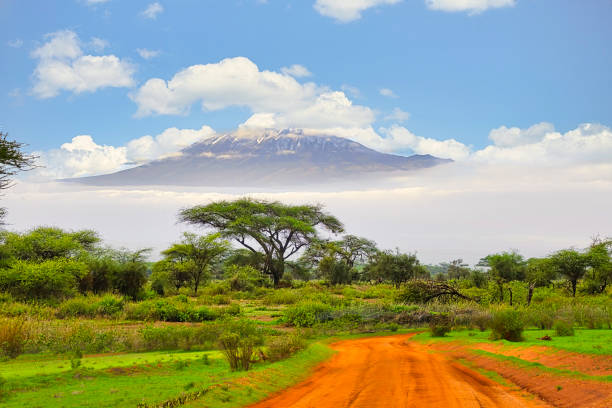 fotos do kilimanjaro coberto de neve na tanzânia - non urban scene standing water waterhole landscape - fotografias e filmes do acervo