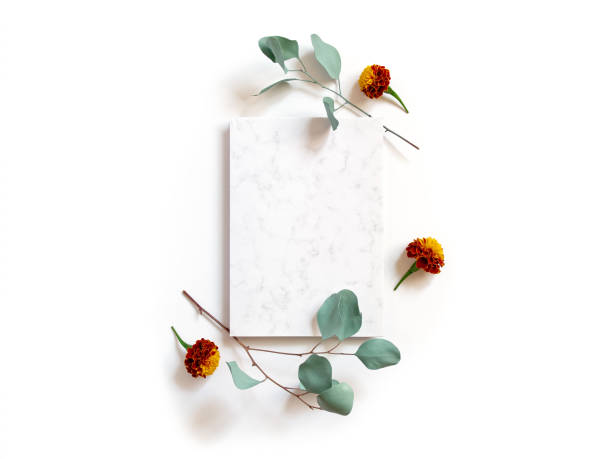 istock Flower composition. Eucalyptus branches with round leaves, marigold flowers are on a white background. A sheet of paper with a marble pattern is in the center of the layout. Flat lay. Copy space. 1368963257