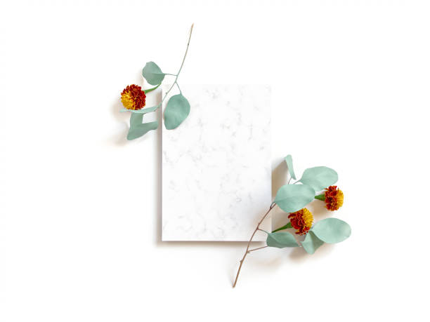 istock Flower composition. Eucalyptus branches with round leaves, marigold flowers are on a white background. A sheet of paper with a marble pattern is in the center of the layout. Flat lay. Copy space. 1368963347